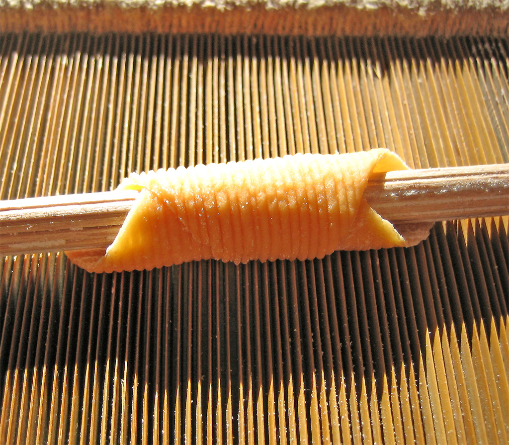 Garganelli colorati